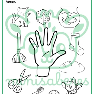 Ficha de trabajo: El tacto | Ciencias - 1° básico