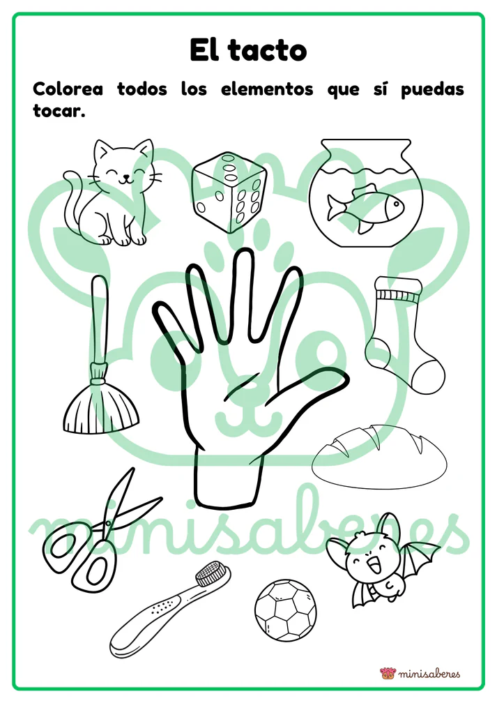 Ficha de trabajo: El tacto | Ciencias - 1° básico