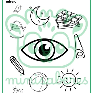 Ficha de trabajo: La vista | Ciencias - 1° básico