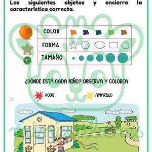 Ficha de trabajo: Nuestra visión | Ciencias - 1° básico