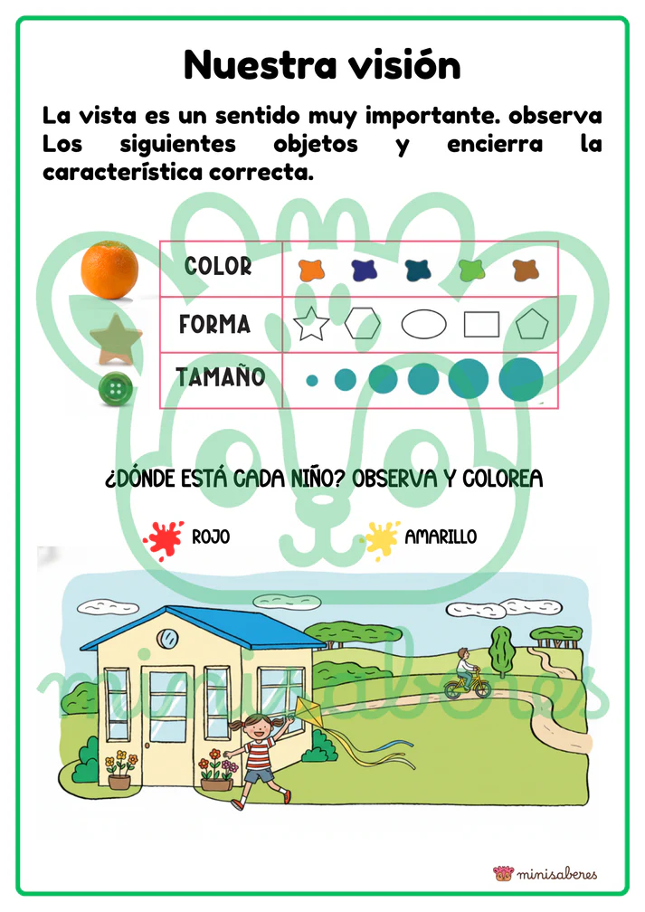 Ficha de trabajo: Nuestra visión | Ciencias - 1° básico